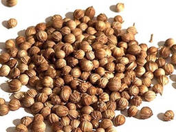 Семена Кориандр (Кинза) 1кг