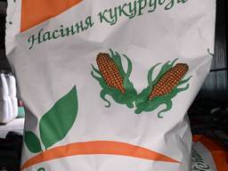 Насіння кукурудзи ДН ФІЄСТА (ФАО 260), урожай 2021р.