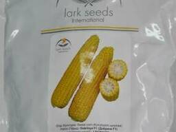 Семена кукурузы Добрыня F1, 2500 семян, Lark Seeds (Ларк сидс), США