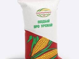 Семена кукурузы гибрид ДН Пивыха (ФАО-180)