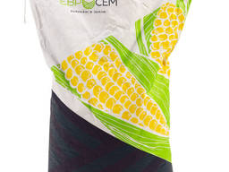 Семена кукурузы Орилскай ФАО 320