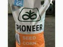 Семена кукурузы P9718Е Пионер (Pioneer)