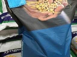 Семена кукурузы высокой урожайности Евралис, Пионер, ДКС и др.