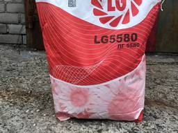 Семена Limagrain LG 5580(Лімагрейн ЛГ 5580)