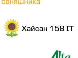 Семена подсолнечника Хайсан 158 IT Альта Сидс(евро-лайтнинг)