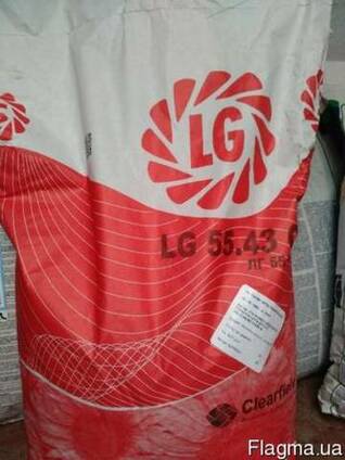 Семена подсолнечника Лимагрейн ЛГ 5543 Limagrain LG 5543 КЛ