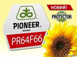 Pioneer в Кривом Роге — Сравнить цены и купить на Flagma.ua