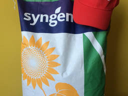 Семена подсолнечника Сингента Ласкала Syngenta Laskala