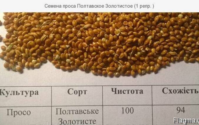 Просо бай семена каталог с ценами