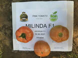Семена розовый томат Milinda F1 ранний, Mrtohum Турция - фото 10