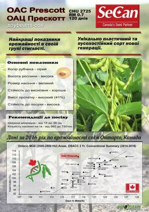 Семена сои