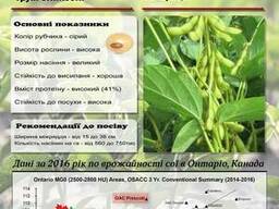 Семена сои