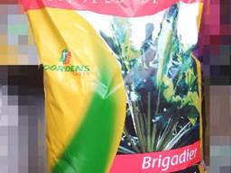 Семена свеклы кормовой "Бригадир", 10 кг