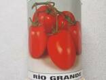 Семена томата Рио Гранде BT Tohum Оригинал Турция 100 г 0.1 - фото 1