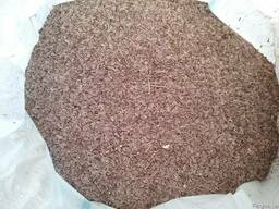 Семена укропа