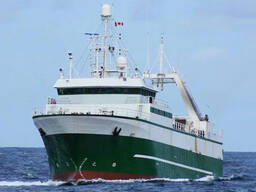 Senegal sularında balık avlamak için balıkçılık lisansı almak isteyen