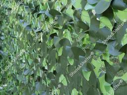 Сітка маскувальна Shade&amp;Shelter, зелена двуcтороння. СЕть маскировочная сетка