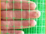 Сетка 12*14 птичка 1*50 метров - фото 2