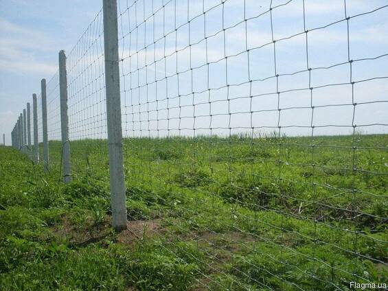 Сетка шарнирная