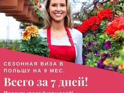 Сезонная рабочая виза D 05а на 9 мес. в Польшу