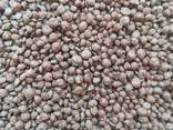 Шарики воздушные кукурузные с какао 3-5 мм 1 кг - фото 2