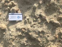 Доставка-Щебінь, Пісок-Бровари