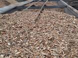 Щепа - фото 4
