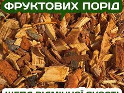 Щепа фруктових порід