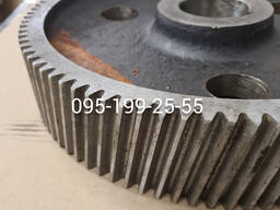 Шестерня основна (z-96) ТСН.02.601 редуктора ТСН.02.020 (ТСН.02.102)