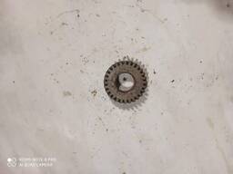 Шестерня привода масляного насоса ЯМЗ-236, ЯМЗ-238. 236-1011202