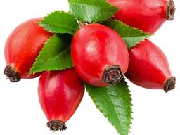 Шиповник, шипшина, сухая