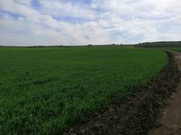 Ширяевский район. Продажа фермерского хозяйства.