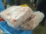 Шкура куриная продам - фото 2