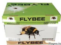 Шмели Flybee