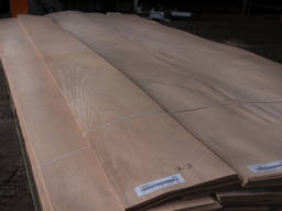 Шпон Бук , Клен