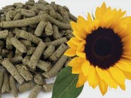 Шрот соняшниковий