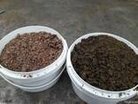 Шрот, жмых рапса - фото 1