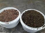 Шрот, жмых рапса - фото 2