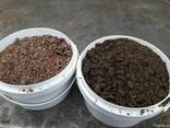 Шрот, жмых рапса - фото 3