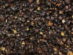 Шипшина шкірка