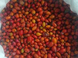 Шипшина заморожена