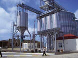 Силоса Silos Cordoba (Испания) - фото 2