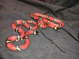 Синалойская змея. Молочная змея. Lampropeltis triangulum sinaloae - фото 3