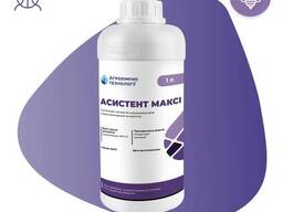 Системный инсектицид Асистент Макси