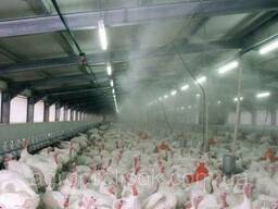 Системы туманообразования