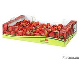 Склеенный лоток под 10 пинеток 0.5 и 1 кг