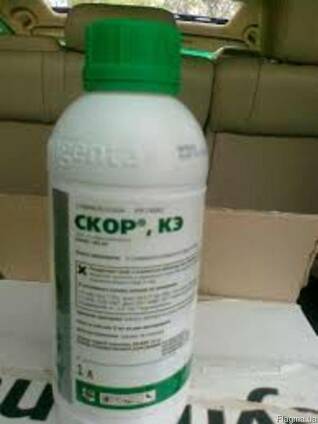 Скор