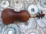 Скрипка Carlo Giordano VS-0 4/4 - фото 2