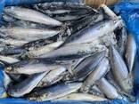 Скумбрия 250-300 нет в наличии - фото 3