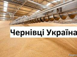 Куплю Пшеницу Черновцы Украина